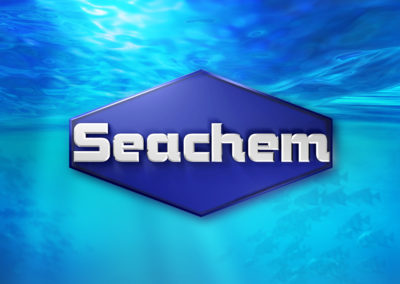 Brands Seachem logo