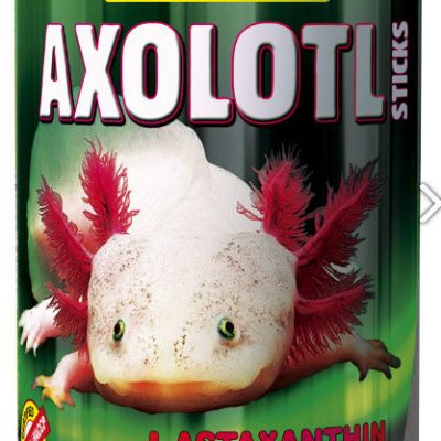 tropical axolotl sticks, pic of big axolotl