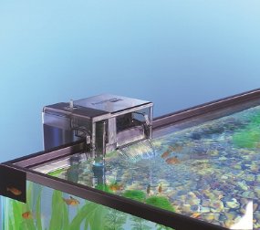 Botanist of course Exclusion Aqua Clear Aquarium Power Filter — TailsNTeeth