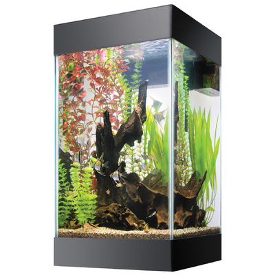 Deluxe Column 15 Gallon Full Hood Aquarium Kit — TailsNTeeth
