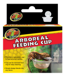 feeding cup with crested gecko eating
